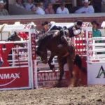 WARWICK CAMPDRAFT & RODEO OCTOBER 2017