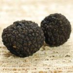 THE GRANITE BELT HAVE FOUND TRUFFLES 2017