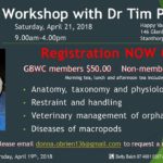 WILDLIFE  WORK  SHOP  21st APRIL 2018