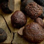 Huge New Festival Coming to the Granite Belt 5th August 2018