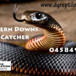 Welcome DG Reptiles! Do you need a snake catcher? ~ Southern Downs Region ~ 0458 491 123